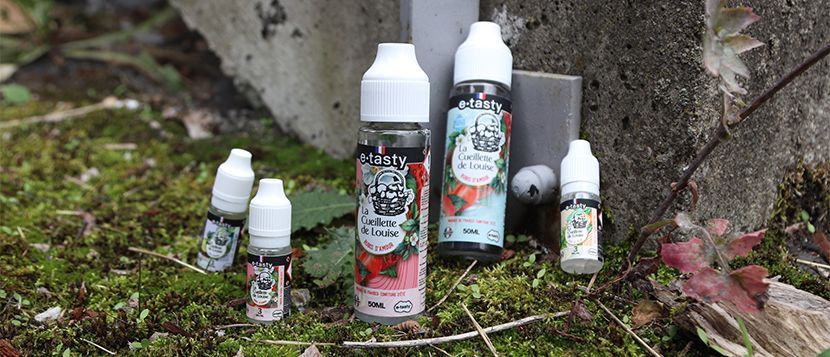 E-liquide United Sels de Nicotine 10ml One Taste - E.Tasty