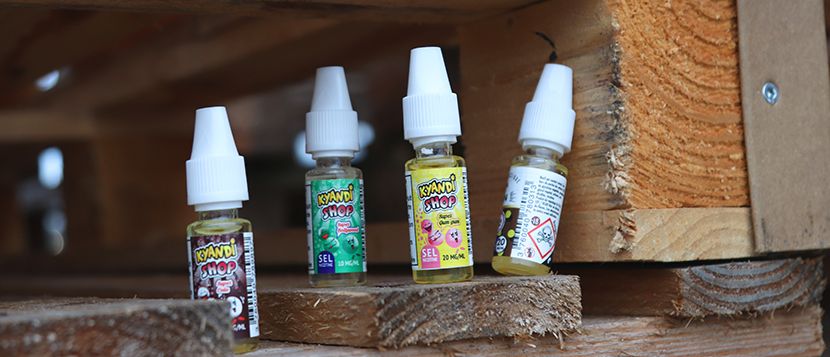 E-liquide Menthe Eucalyptus 10 ml Sel de Nicotine - Le Coq Qui Vape