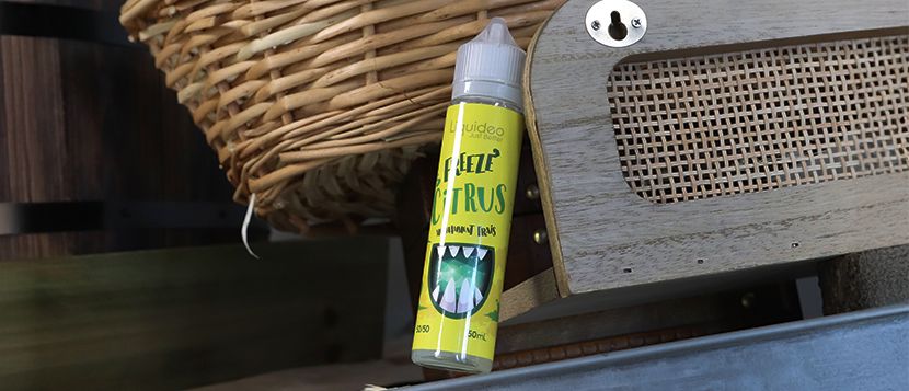 E-liquide Freeze Citrus 50ml - Liquideo
