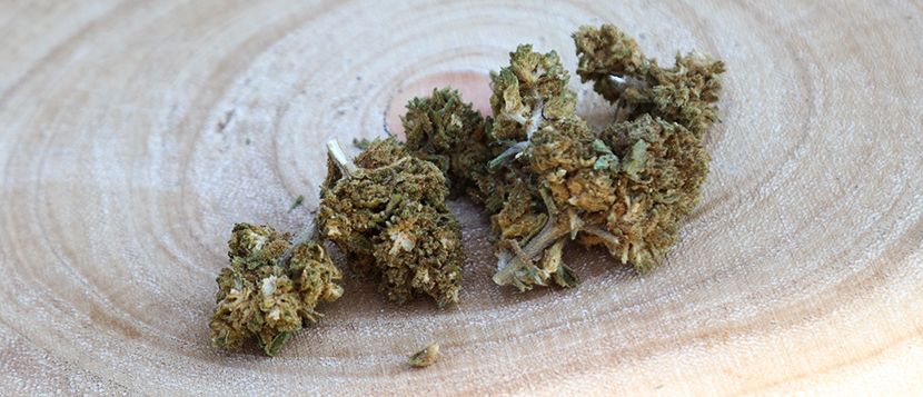 Fleurs de CBD Cherry Lemonade - IZI