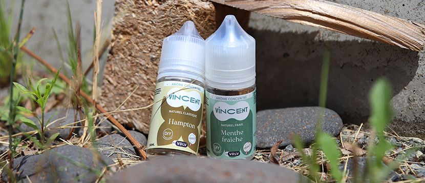Concentré Fruits des Bois 30ml - Vincent