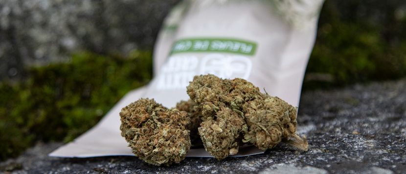 Fleurs-CBD-Sixty-Green_3385051.jpg