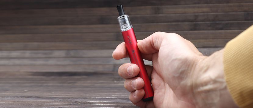 Kiwi Pen : la vape réaliste high-end avec un poil dans la main