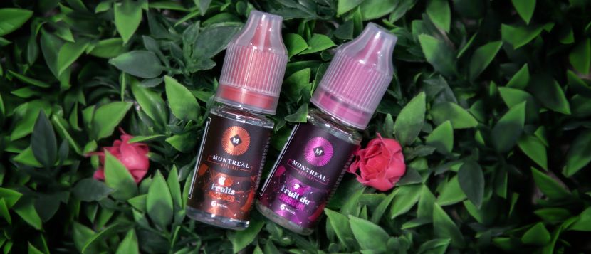 E-liquide Fruit du Dragon 10ml Sel de Nicotine - Montreal Original