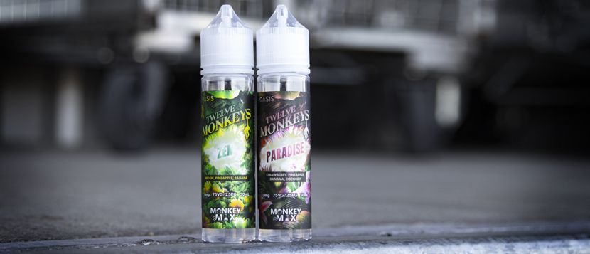 E-liquide Paradise 50ml - Twelve Monkeys