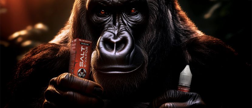 E-liquide Pastèque Givrée 10ml Sel de Nicotine – Le French Liquide