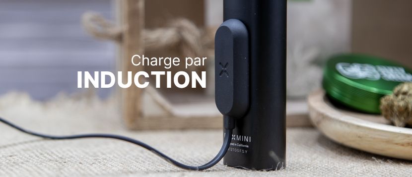 Votre vapo Pax Mini chargé à bloc