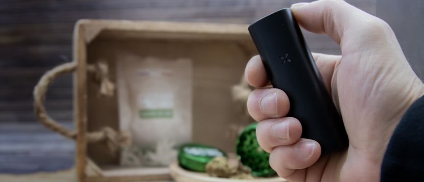 PAX MINI : mini souci, maxi plaisir !